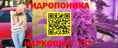 стаф Гусев