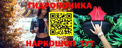 стаф Гусев