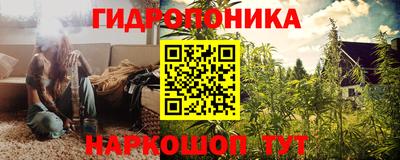 стаф Гусев