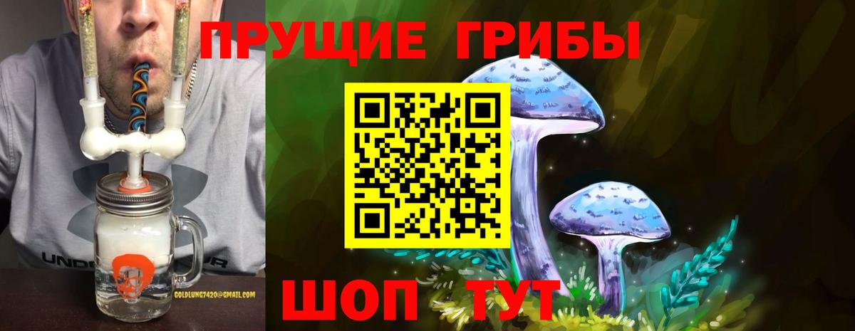 Галлюциногенные грибы Cubensis  Вход с VPN  Малгобек  Псилоцибиновые грибы мухоморы 